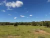 "Mustons" Frawleys Road, Thangool, Qld 4716-Image