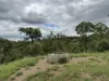 "Mustons" Frawleys Road, Thangool, Qld 4716-Image