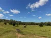 "Mustons" Frawleys Road, Thangool, Qld 4716-Image