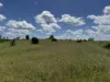 "Mustons" Frawleys Road, Thangool, Qld 4716-Image