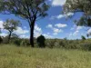 "Mustons" Frawleys Road, Thangool, Qld 4716-Image