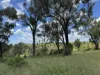 "Mustons" Frawleys Road, Thangool, Qld 4716-Image