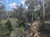 "Mustons" Frawleys Road, Thangool, Qld 4716-Image