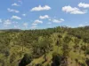 "Mustons" Frawleys Road, Thangool, Qld 4716-Image