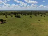 "Mustons" Frawleys Road, Thangool, Qld 4716-Image
