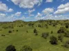 "Mustons" Frawleys Road, Thangool, Qld 4716-Image