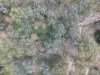 "Mustons" Frawleys Road, Thangool, Qld 4716-Image