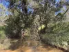 "Mustons" Frawleys Road, Thangool, Qld 4716-Image