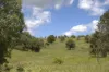 "Mustons" Frawleys Road, Thangool, Qld 4716-Image