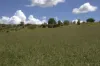 "Mustons" Frawleys Road, Thangool, Qld 4716-Image