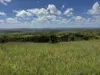 "Mustons" Frawleys Road, Thangool, Qld 4716-Image