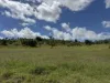 "Mustons" Frawleys Road, Thangool, Qld 4716-Image
