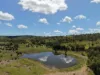 "Mustons" Frawleys Road, Thangool, Qld 4716-Image