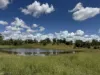 "Mustons" Frawleys Road, Thangool, Qld 4716-Image