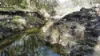 (OAKY) 971 GULF CREEK ROAD, Barraba, NSW 2347-Image