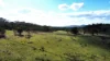 (OAKY) 971 GULF CREEK ROAD, Barraba, NSW 2347-Image
