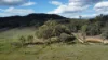 (OAKY) 971 GULF CREEK ROAD, Barraba, NSW 2347-Image