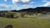 (OAKY) 971 GULF CREEK ROAD, Barraba, NSW 2347-Image