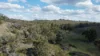 (OAKY) 971 GULF CREEK ROAD, Barraba, NSW 2347-Image