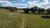 (OAKY) 971 GULF CREEK ROAD, Barraba, NSW 2347-Image