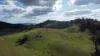 (OAKY) 971 GULF CREEK ROAD, Barraba, NSW 2347-Image