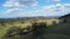 (OAKY) 971 GULF CREEK ROAD, Barraba, NSW 2347-Image