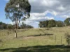 (OAKY) 971 GULF CREEK ROAD, Barraba, NSW 2347-Image
