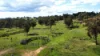 (OAKY) 971 GULF CREEK ROAD, Barraba, NSW 2347-Image