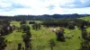 (OAKY) 971 GULF CREEK ROAD, Barraba, NSW 2347-Image