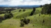 (OAKY) 971 GULF CREEK ROAD, Barraba, NSW 2347-Image
