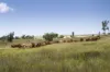 "Passchendaele" Bassingthwaightes Road, Chahpingah, Qld 4610