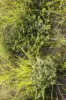 "Passchendaele" Bassingthwaightes Road, Chahpingah, Qld 4610-Image