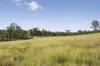 "Passchendaele" Bassingthwaightes Road, Chahpingah, Qld 4610-Image