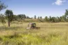 "Passchendaele" Bassingthwaightes Road, Chahpingah, Qld 4610-Image