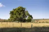 "Passchendaele" Bassingthwaightes Road, Chahpingah, Qld 4610-Image