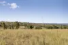 "Passchendaele" Bassingthwaightes Road, Chahpingah, Qld 4610-Image