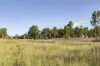 "Passchendaele" Bassingthwaightes Road, Chahpingah, Qld 4610-Image