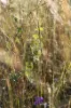 "Passchendaele" Bassingthwaightes Road, Chahpingah, Qld 4610-Image