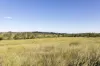"Passchendaele" Bassingthwaightes Road, Chahpingah, Qld 4610-Image