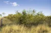 "Passchendaele" Bassingthwaightes Road, Chahpingah, Qld 4610-Image