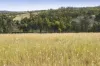 "Passchendaele" Bassingthwaightes Road, Chahpingah, Qld 4610-Image