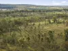"Passchendaele" Bassingthwaightes Road, Chahpingah, Qld 4610-Image