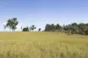 "Passchendaele" Bassingthwaightes Road, Chahpingah, Qld 4610-Image