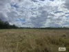 Pelican Back Road, Chinchilla, Qld 4413-Image