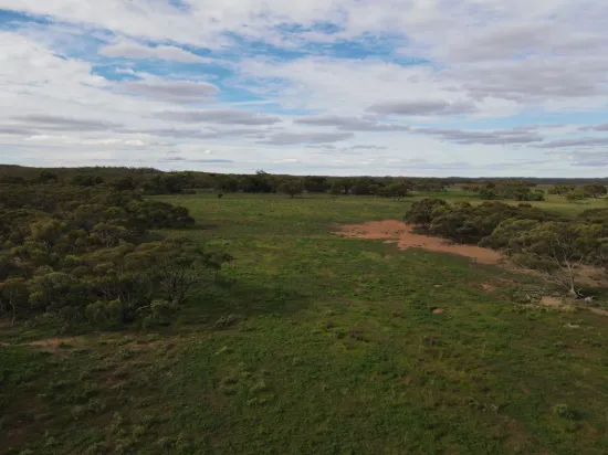 Pine Creek Road, Parnaroo, SA 5422