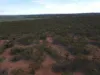 Pine Creek Road, Parnaroo, SA 5422-Image