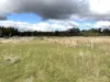 "Pleasant View" Baltimore Loop Road, Atholwood, NSW 2361-Image