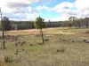 "Pleasant View" Baltimore Loop Road, Atholwood, NSW 2361-Image
