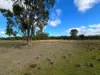 "Pleasant View" Baltimore Loop Road, Atholwood, NSW 2361-Image