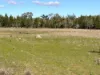 "Pleasant View" Baltimore Loop Road, Atholwood, NSW 2361-Image